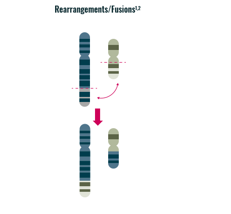 NTRK Gene Fusions in Oncology | NTRK US Website