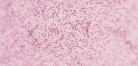 Anatomical Pathology